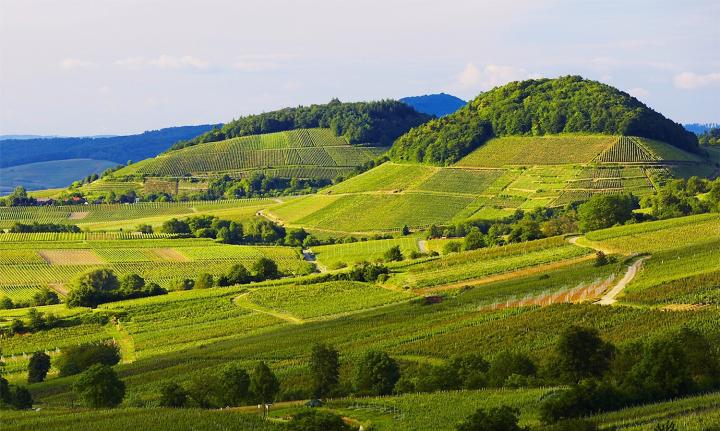 Hintergrund CastellberFohrenberg